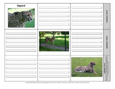 Leporello-Gepard-2-1-2.pdf